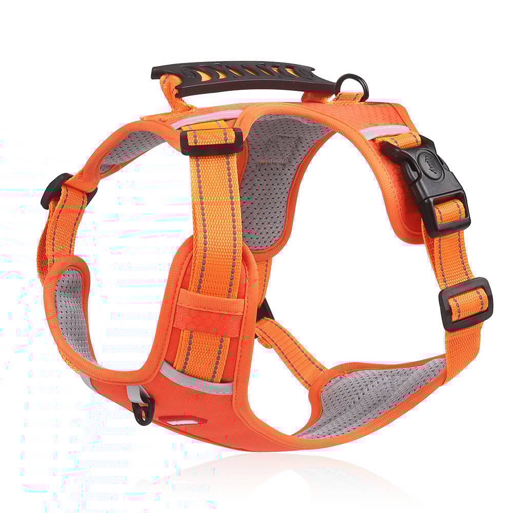 No Pull Dog Harness for Pets(Darilni povodec z omejenim časom) - spiiyle