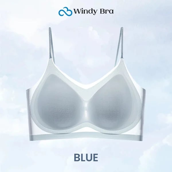 WindyBra - Summer seamless ultra-thin plus size ice silk comfort bra - spiiyle