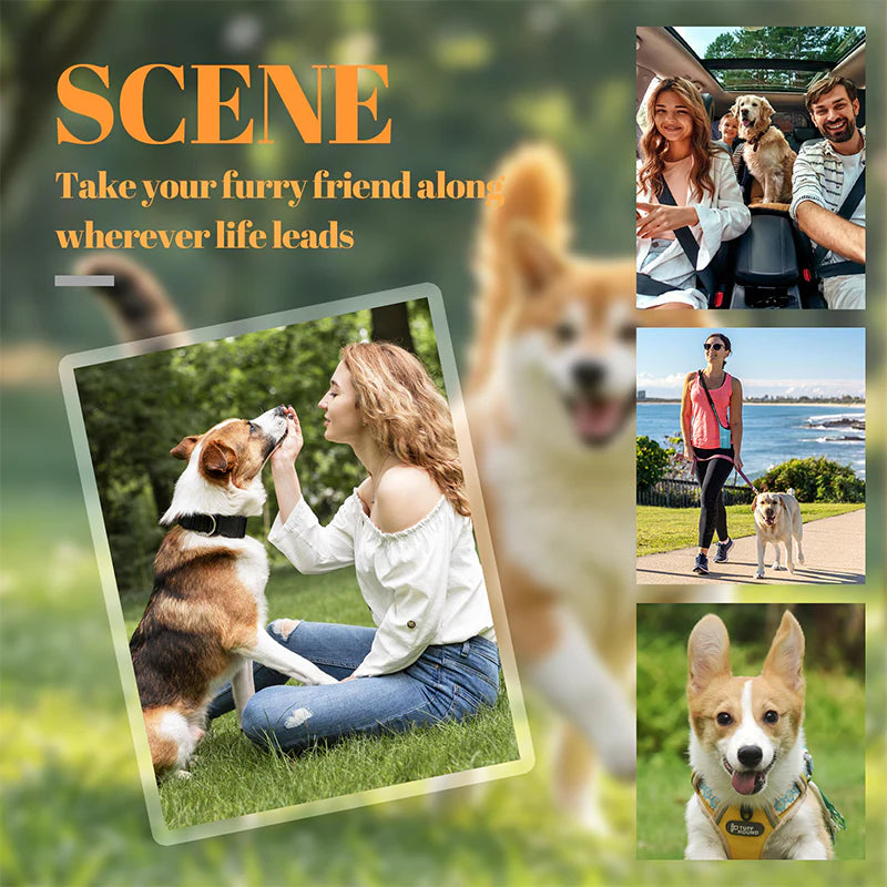 Moj obesek za ključe za hišne ljubljenčke