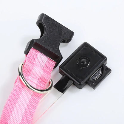 Svetleča ovratnica za hišne ljubljenčke