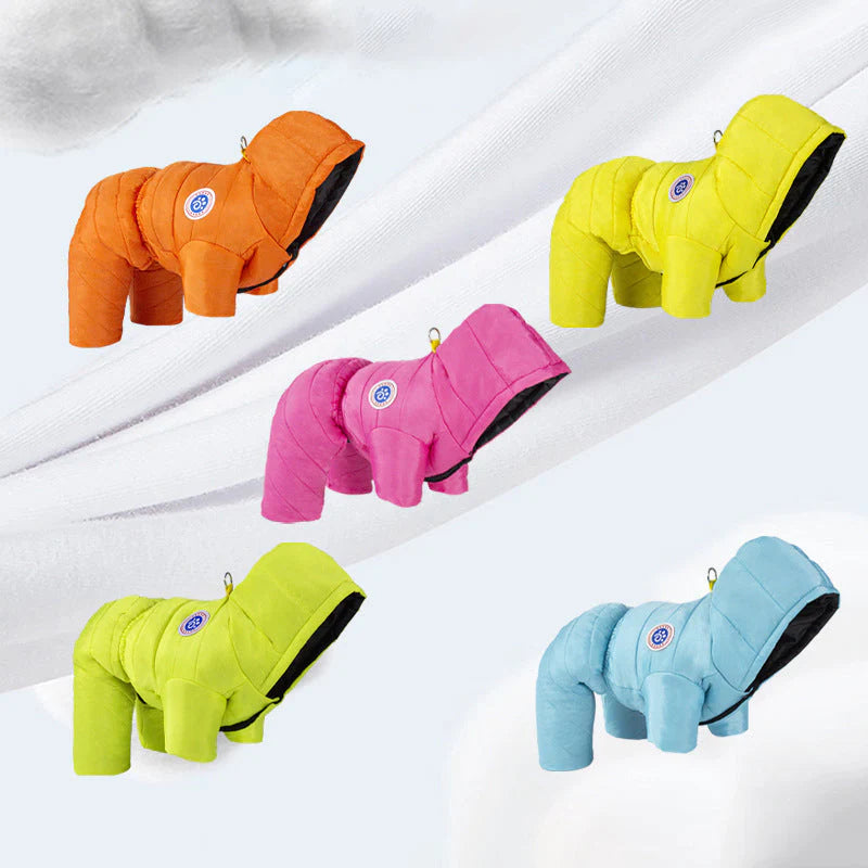 Oblečenie pre domáce zvieratá