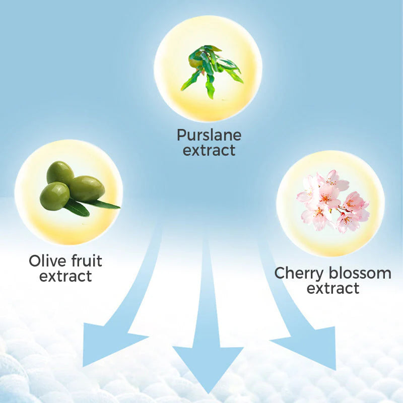 Pralni prašek z biološkimi encimi in kisikovimi mehurčki