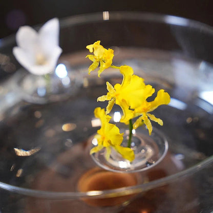 Kreativni plavajoči nosilec za cvetlični aranžma