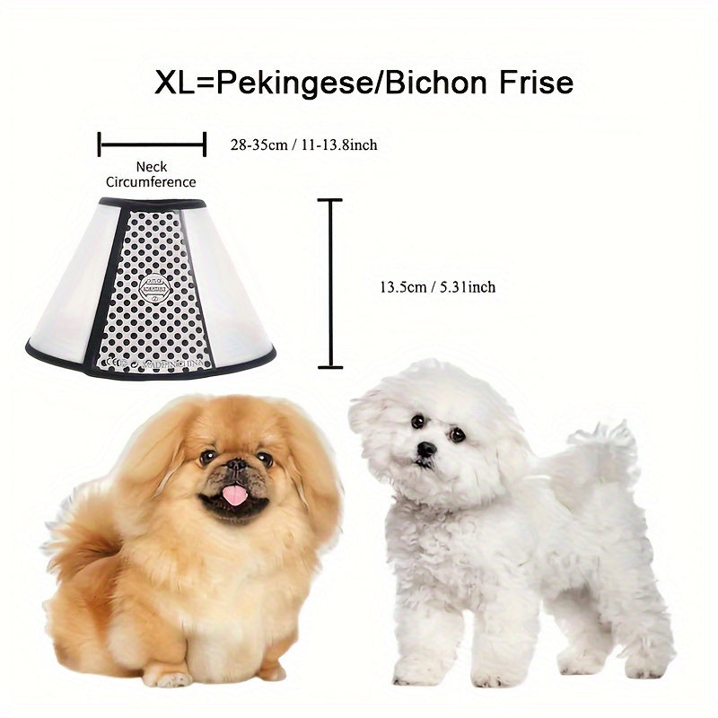 Elizabetanski ovratnik