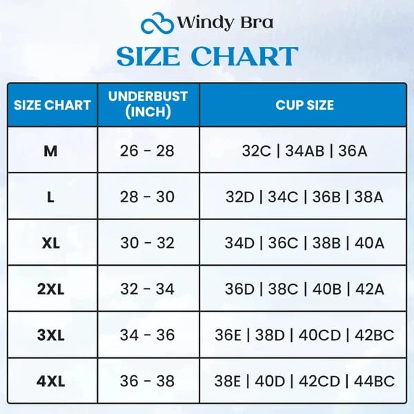 WindyBra - Summer seamless ultra-thin plus size ice silk comfort bra - spiiyle