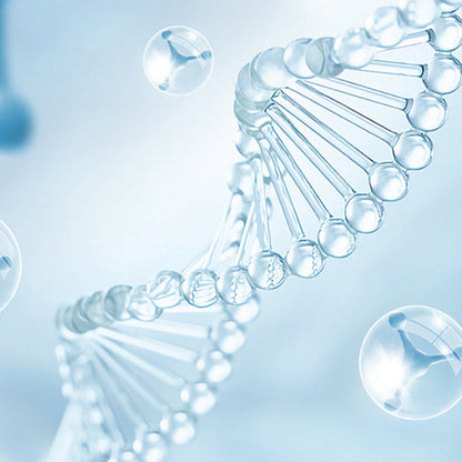 Zestaw lampy do sterylizacji WC UV - spiiyle