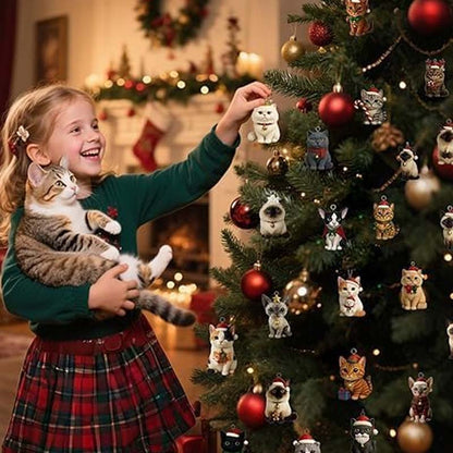 Adventni koledar za ljubitelje mačk 2025 - spiiyle